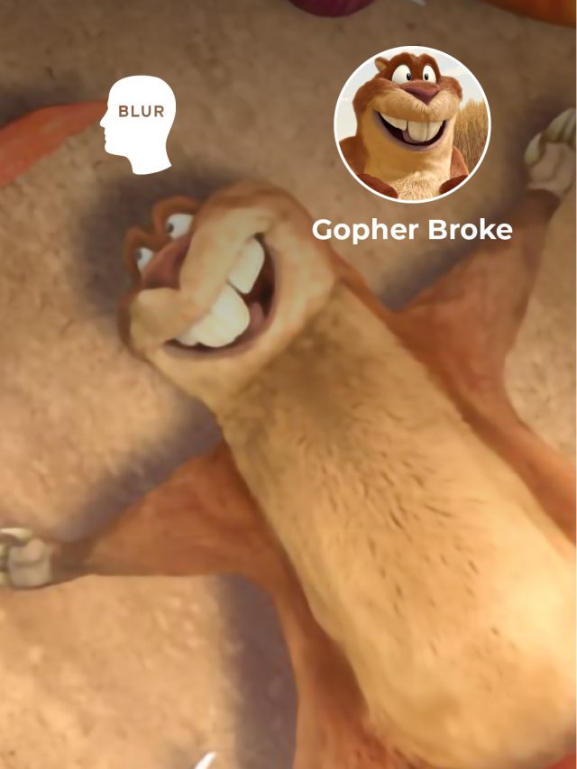 Gopher Broke